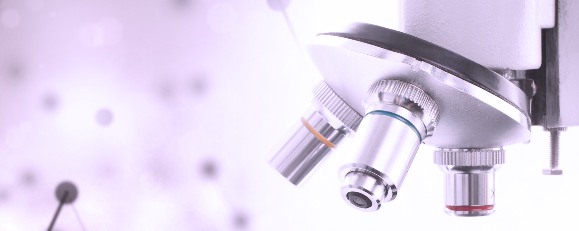 <span>Qualified</span> and skill full staff with best expertise